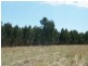Lot 202 Munetta Road, Pages Flat SA 5172