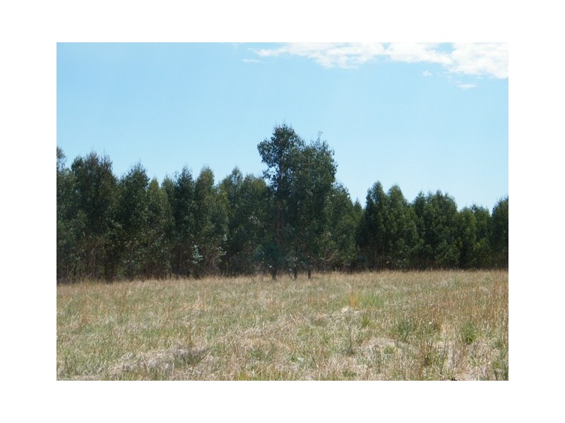 Lot 202 Munetta Road, Pages Flat SA 5172