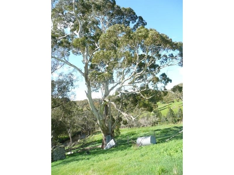 Lots 70 & 71 via Heifer Lane, Nangkita SA 5210