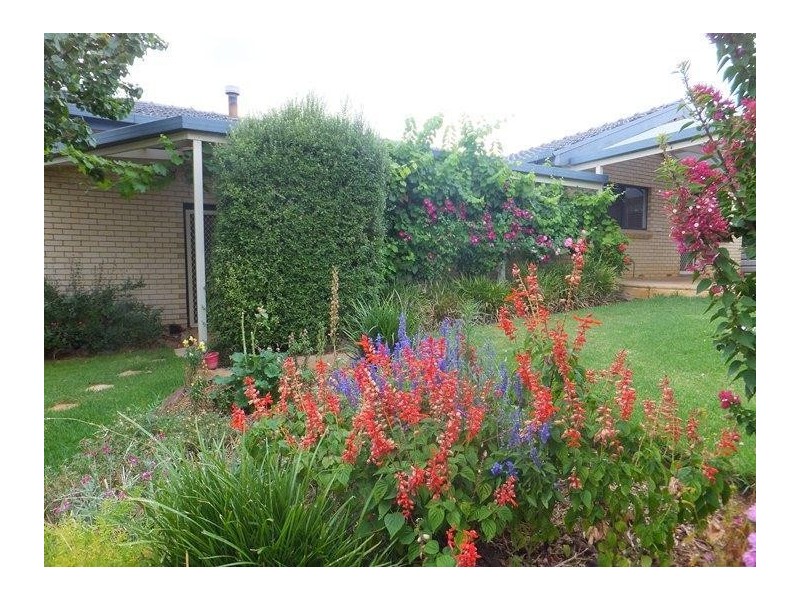 11 Chapman Avenue, Mclaren Vale SA 5171