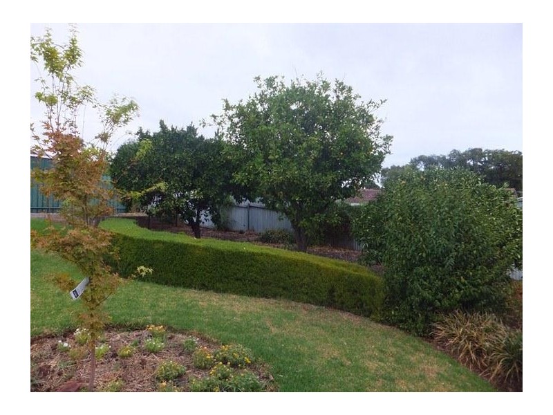 11 Chapman Avenue, Mclaren Vale SA 5171