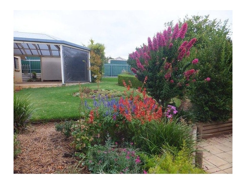 11 Chapman Avenue, Mclaren Vale SA 5171