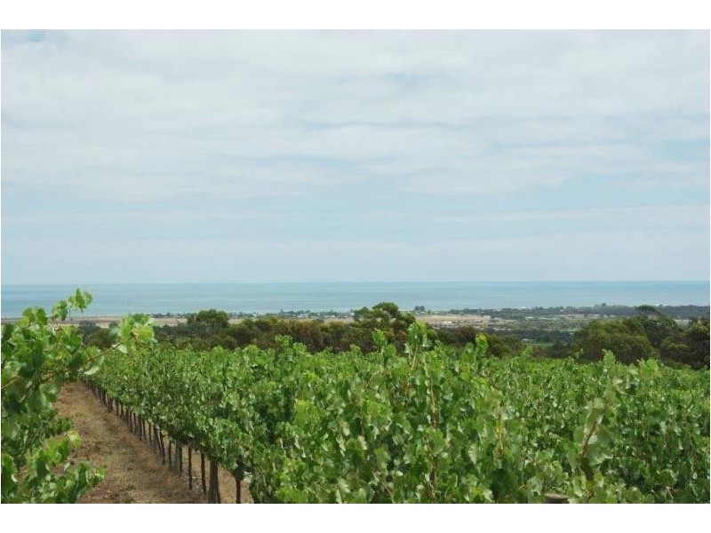 409 Plains Road, Sellicks Hill SA 5174