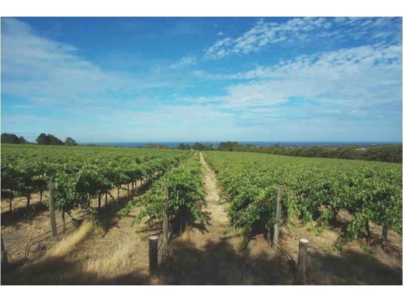 409 Plains Road, Sellicks Hill SA 5174