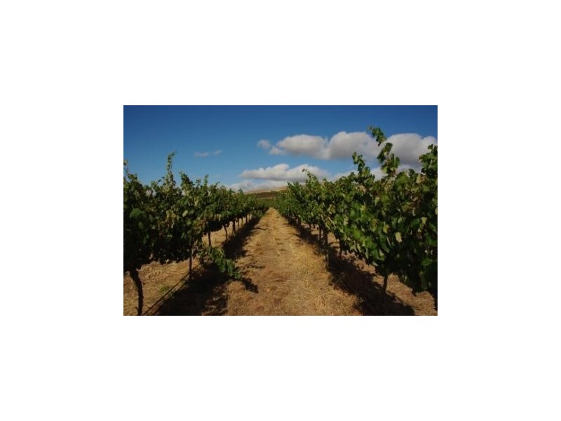 409 Plains Road, Sellicks Hill SA 5174