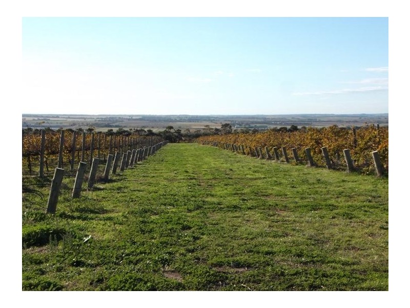 409 Plains Road, Sellicks Hill SA 5174