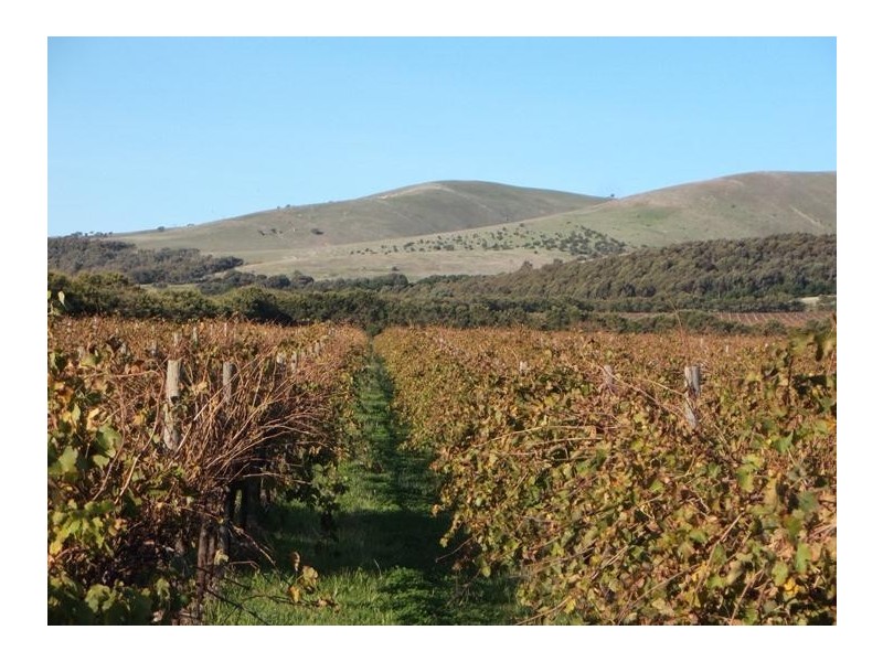 409 Plains Road, Sellicks Hill SA 5174