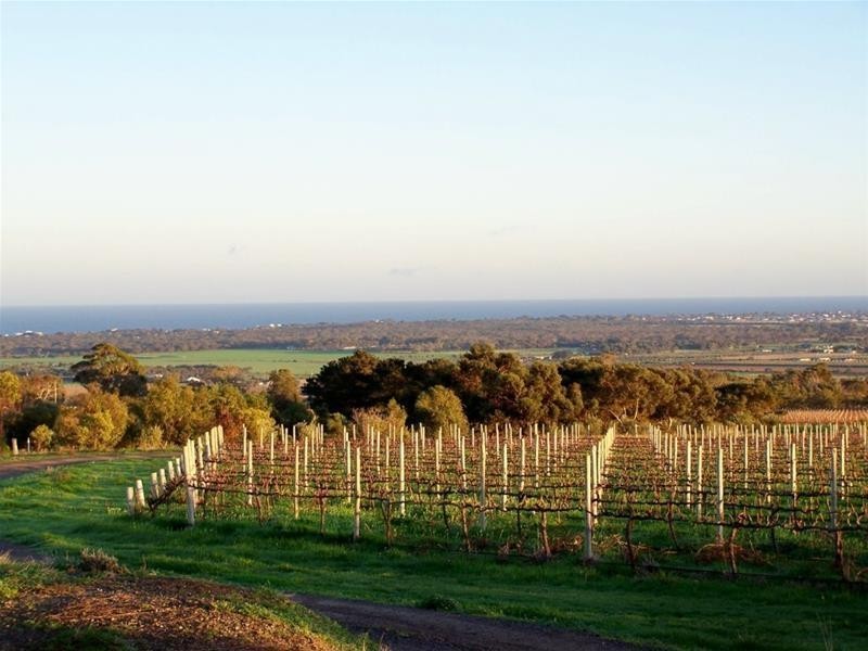 409 Plains Road, Sellicks Hill SA 5174