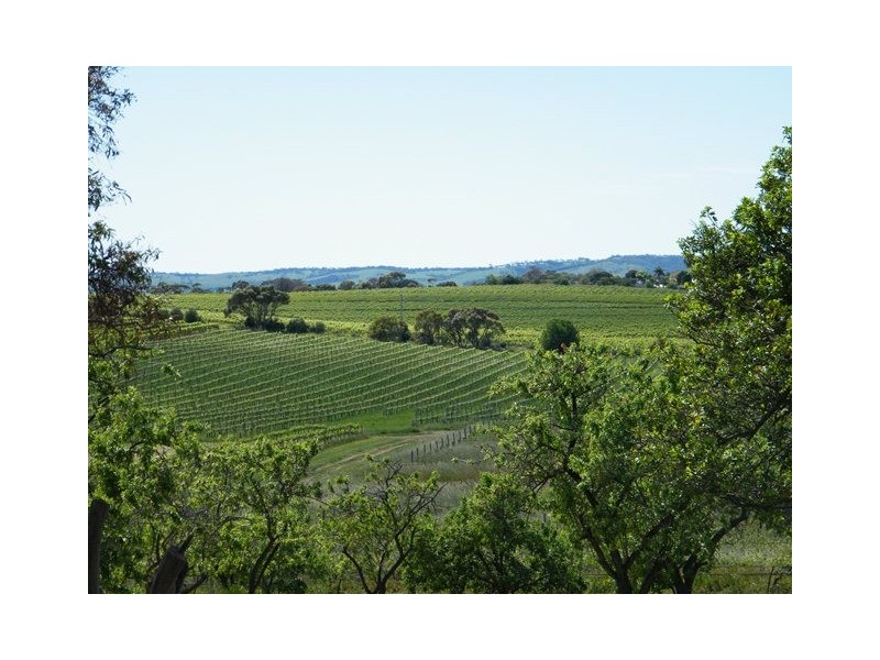 187 Tatachilla Road, Mclaren Vale SA 5171