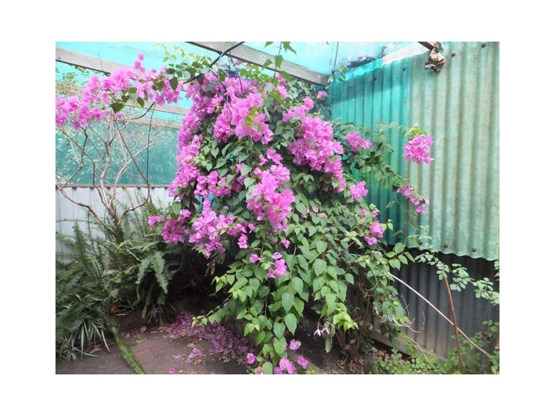 65 Oakley Road, Mclaren Flat SA 5171