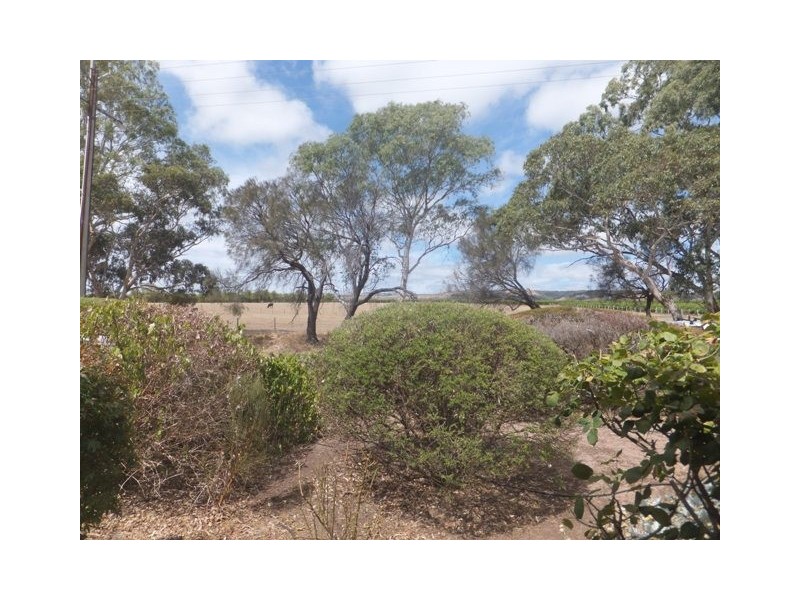 65 Oakley Road, Mclaren Flat SA 5171