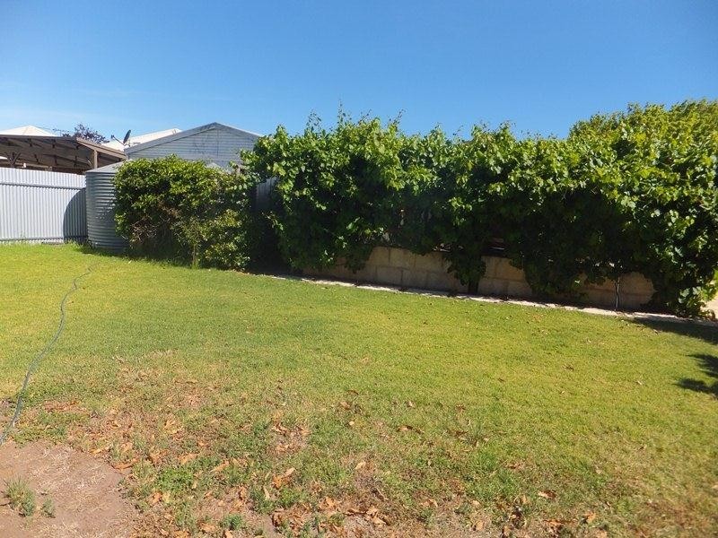 12 Todd Street, Mclaren Vale SA 5171