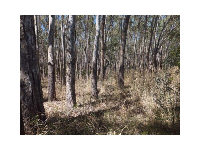 58 Chalk Hill Road, Mclaren Flat SA 5171