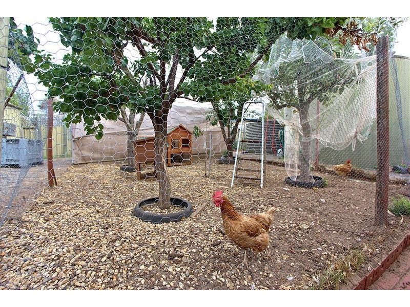 2 Price Street, Hindmarsh Island SA 5214