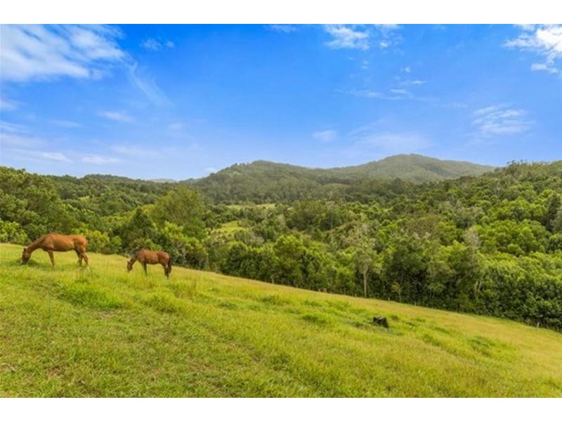 4 Minnows Road, Fernvale, Stokers Siding NSW 2484