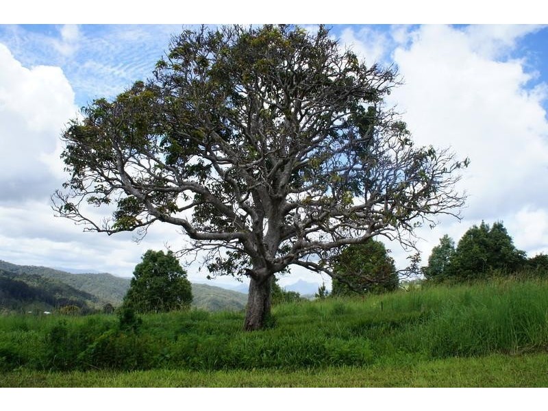 35 Cougal Road, Carool NSW 2486