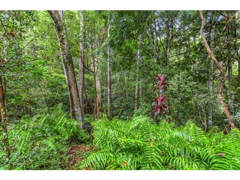 98 Hunter Street, Burringbar NSW 2483