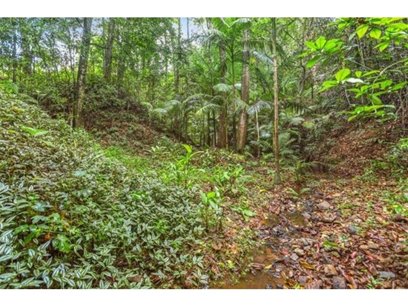 98 Hunter Street, Burringbar NSW 2483