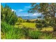 281 Tyalgum Creek Road, Tyalgum NSW 2484
