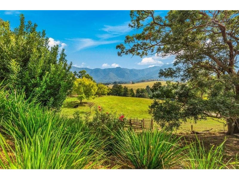 281 Tyalgum Creek Road, Tyalgum NSW 2484