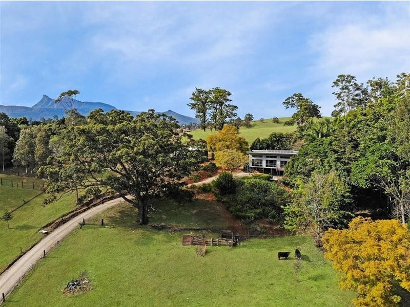 281 Tyalgum Creek Road, Tyalgum NSW 2484