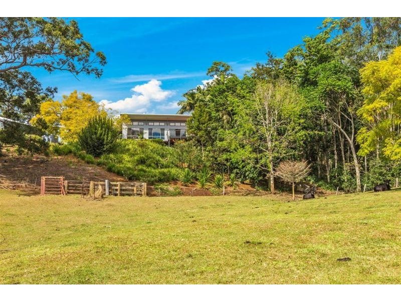 281 Tyalgum Creek Road, Tyalgum NSW 2484
