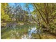 281 Tyalgum Creek Road, Tyalgum NSW 2484