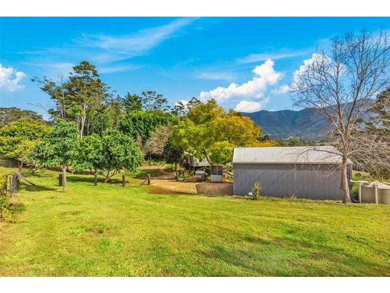 281 Tyalgum Creek Road, Tyalgum NSW 2484