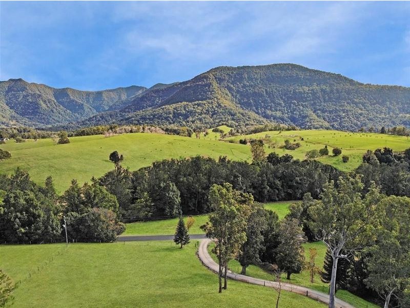 281 Tyalgum Creek Road, Tyalgum NSW 2484