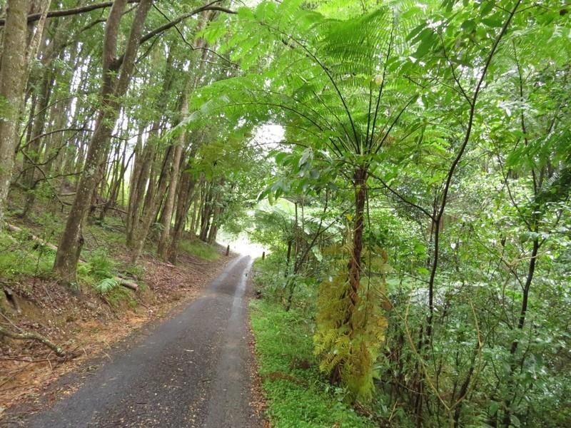 82 Smiths Creek Road, Uki NSW 2484