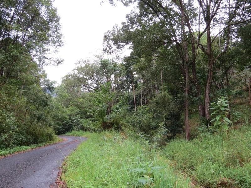 82 Smiths Creek Road, Uki NSW 2484