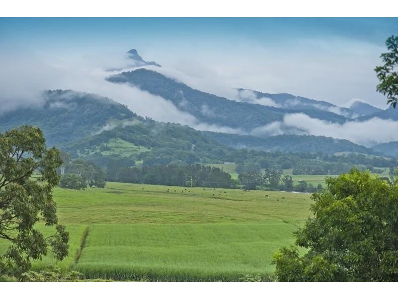 3 Tia Place, Murwillumbah NSW 2484