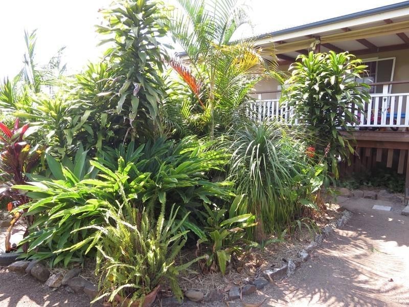 92 Tumbulgum Road, Murwillumbah NSW 2484