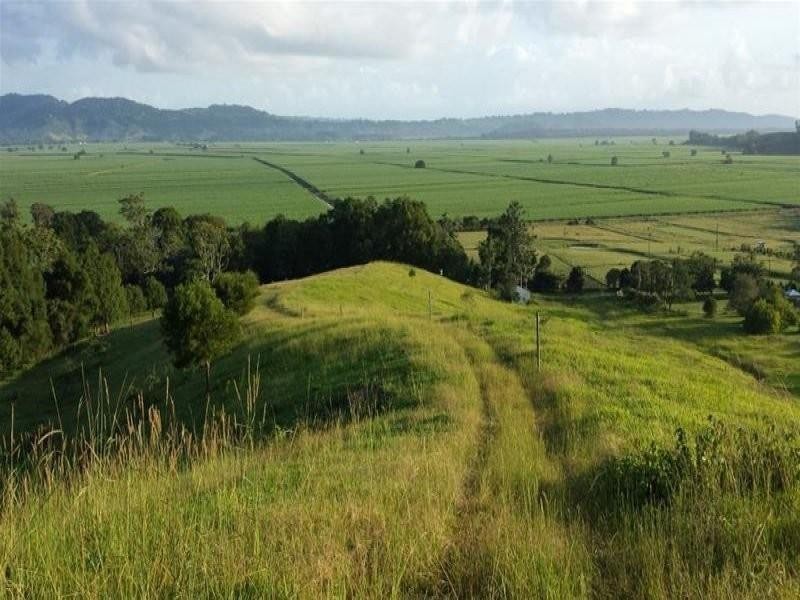 16 Farrants Road, Farrants Hill NSW 2484