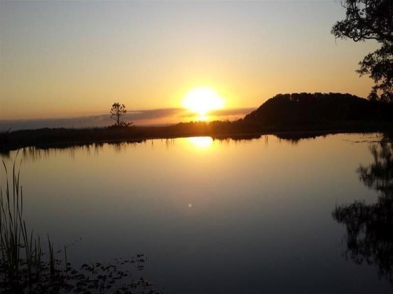 16 Farrants Road, Farrants Hill NSW 2484