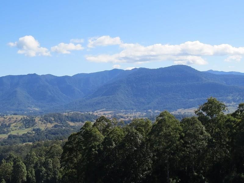 250 Tyalgum Ridge Road, Tyalgum NSW 2484