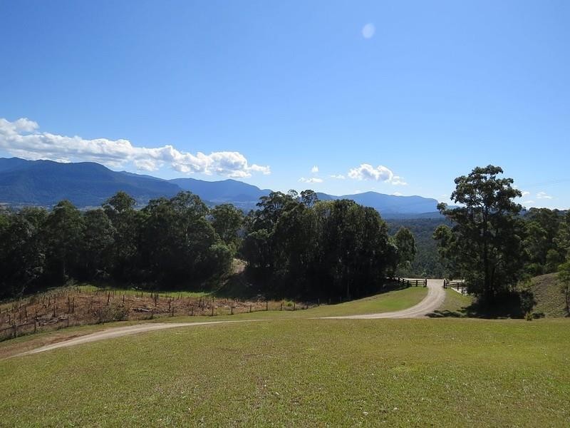 250 Tyalgum Ridge Road, Tyalgum NSW 2484