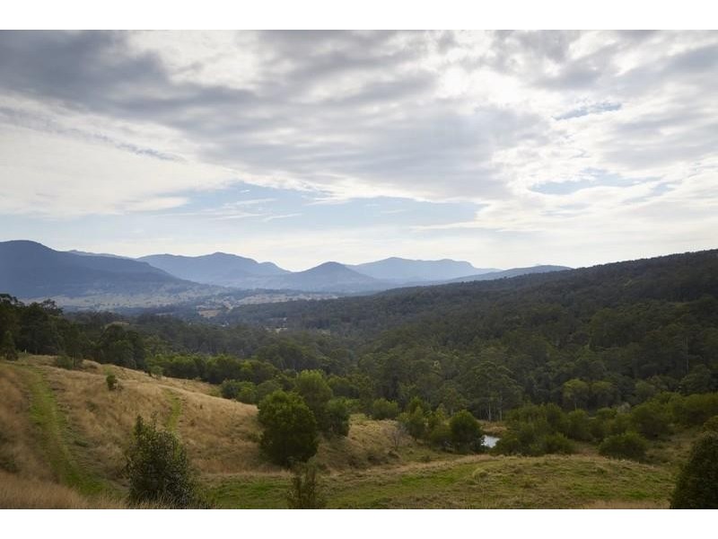 250 Tyalgum Ridge Road, Tyalgum NSW 2484