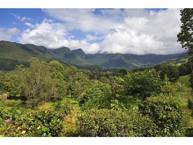 538 Zara Road, Tyalgum NSW 2484