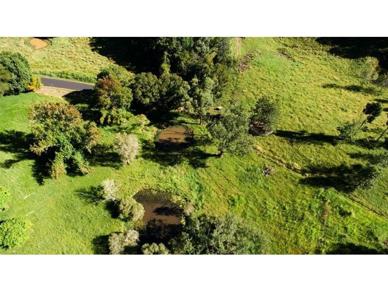 538 Zara Road, Tyalgum NSW 2484