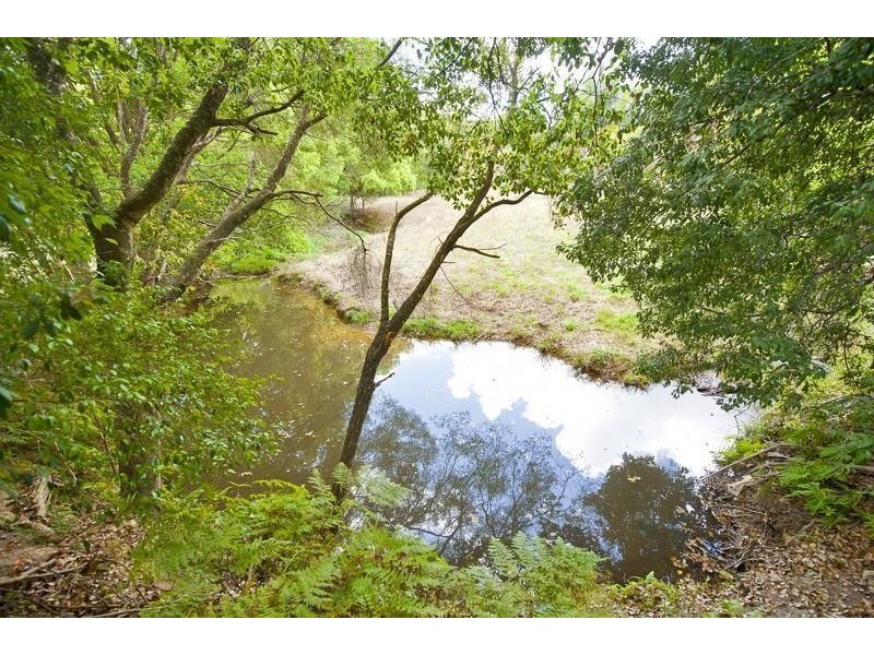 24 Minnows Road Fern Vale, Murwillumbah NSW 2484