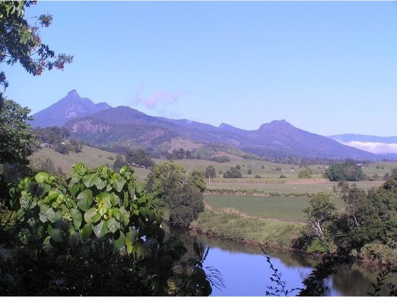 138 Bakers Rd Dallis Park, Murwillumbah NSW 2484