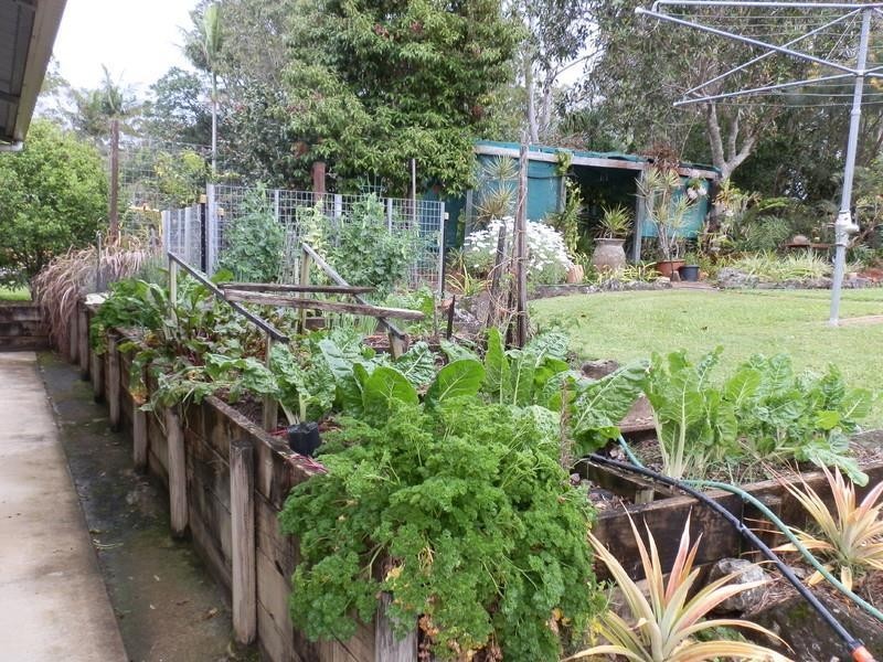 138 Bakers Rd Dallis Park, Murwillumbah NSW 2484