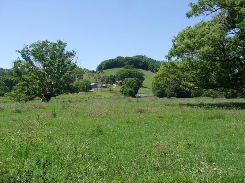 6 Blackwoods Road, Nobbys Creek, Murwillumbah NSW 2484