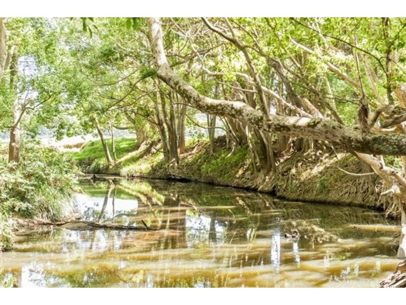 6 Blackwoods Road, Nobbys Creek, Murwillumbah NSW 2484