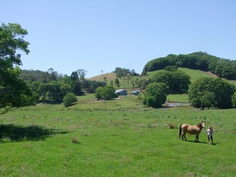 6 Blackwoods Road, Nobbys Creek, Murwillumbah NSW 2484