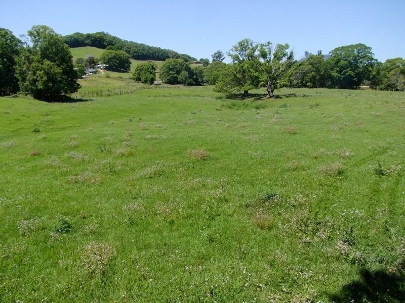 6 Blackwoods Road, Nobbys Creek, Murwillumbah NSW 2484