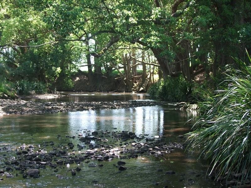 6 Blackwoods Road, Nobbys Creek, Murwillumbah NSW 2484