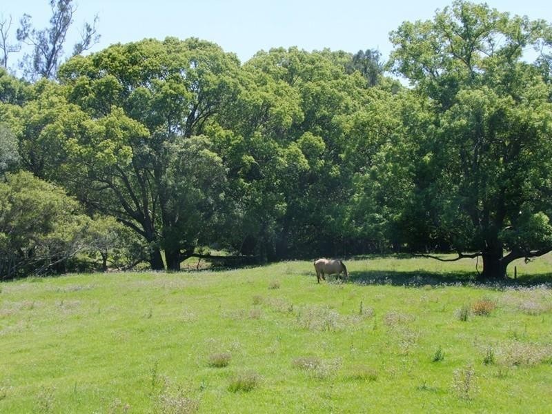 6 Blackwoods Road, Nobbys Creek, Murwillumbah NSW 2484