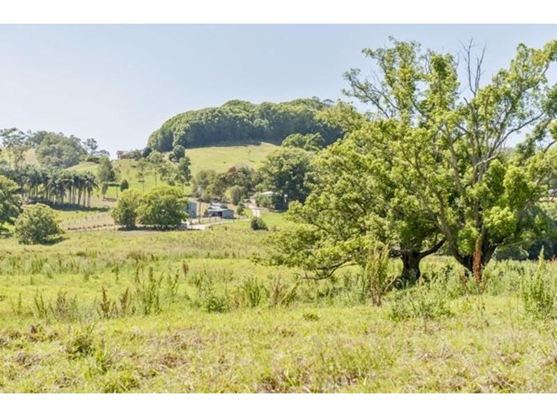 6 Blackwoods Road, Nobbys Creek, Murwillumbah NSW 2484